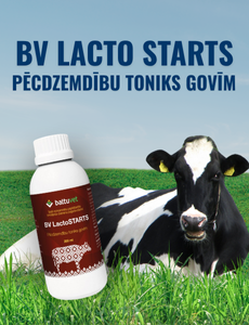 BV LactoStarts